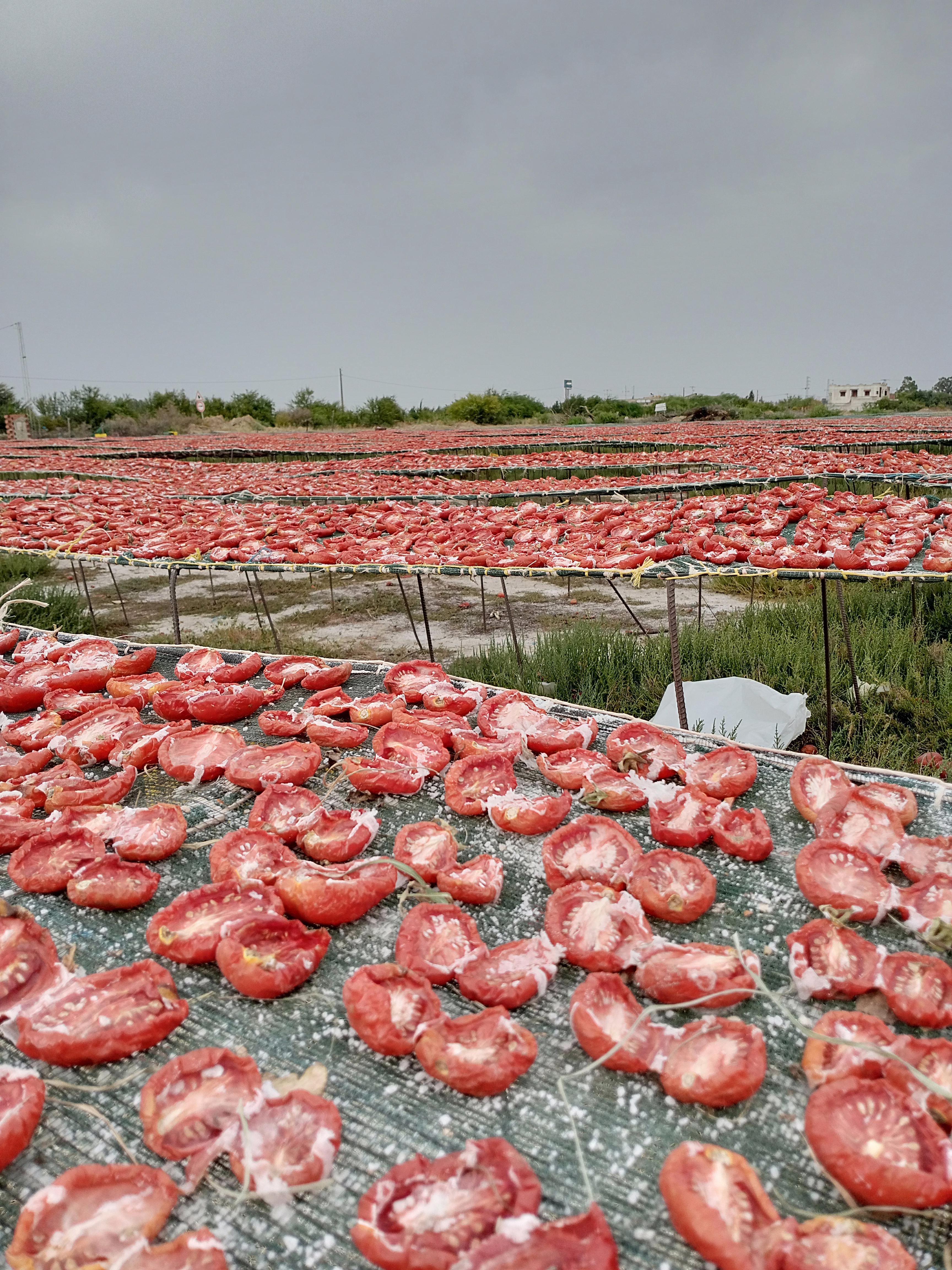 Mediterranean tomatoes