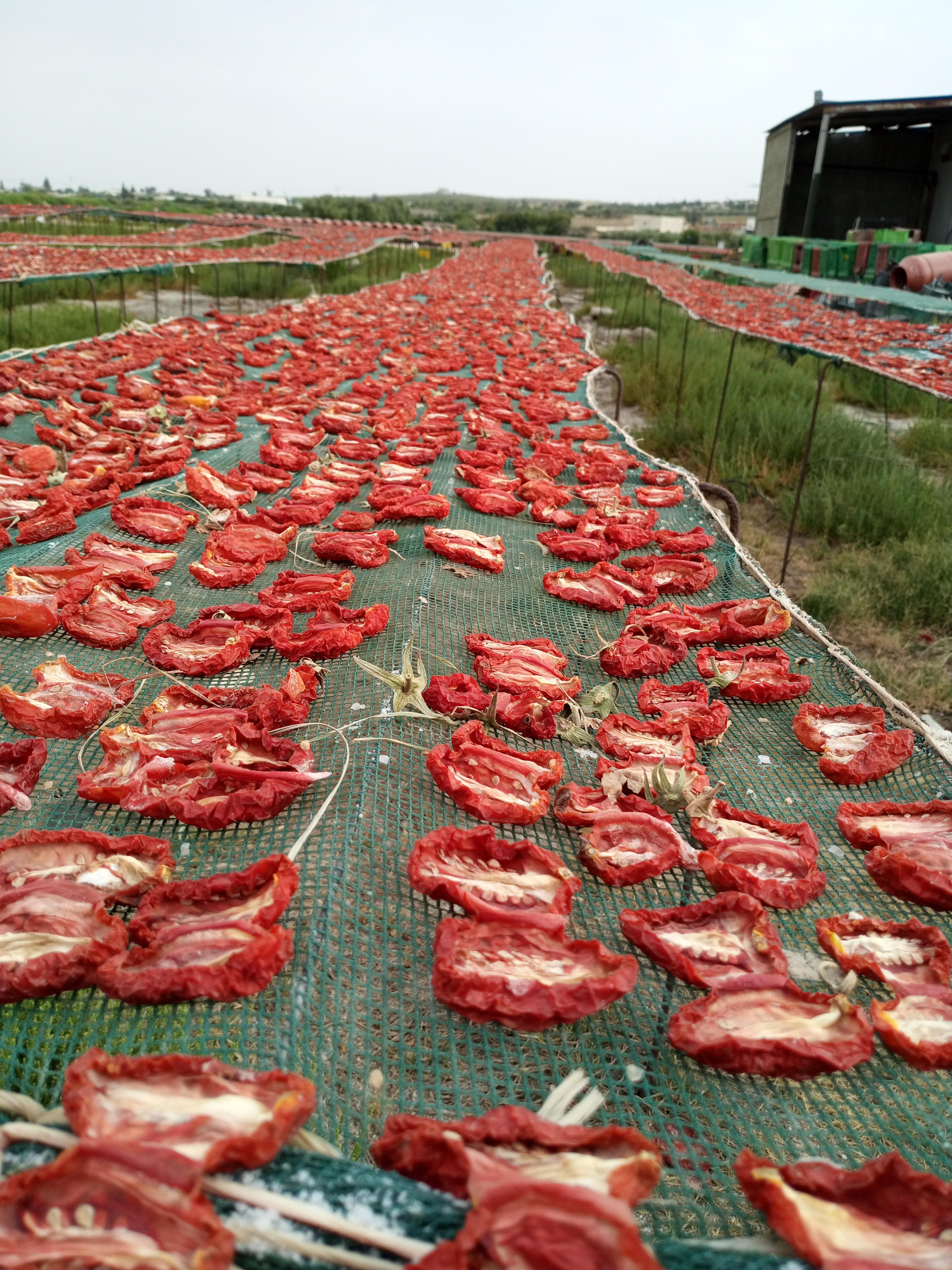 Custom Processing